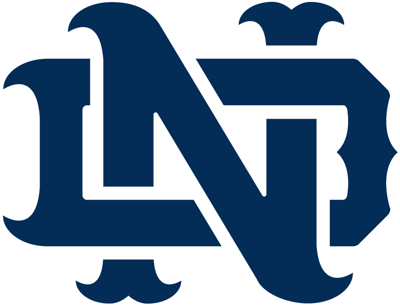 Notre Dame Fighting Irish 1994-Pres Alternate Logo v11 iron on transfers for clothing